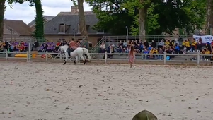 AS - Les journées des 6e et des 5e au Haras du Pin (3)