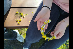 Jour 1 en France : Herbignac