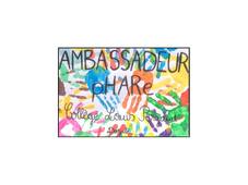 La journée contre le harcèlement au collège Pergaud-1.mp4