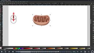 Mise en pratique #1 - Inkscape - Dimensions zoom et déplacements