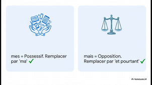 Les_homophones.mp4