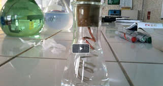 Formation d'un arbre de Diane - Accéléré