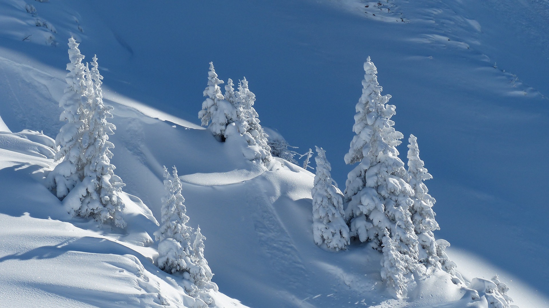 Bannière Séjour Montagne 2023