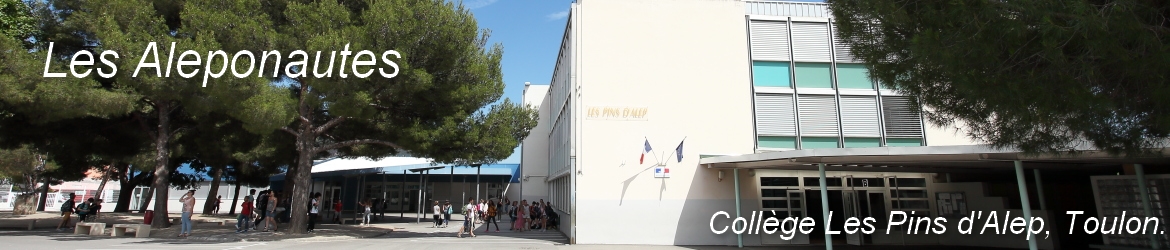 Bannière Provence-Alpes-Côte d'Azur - Collège Les Pins d'Alep - Nice