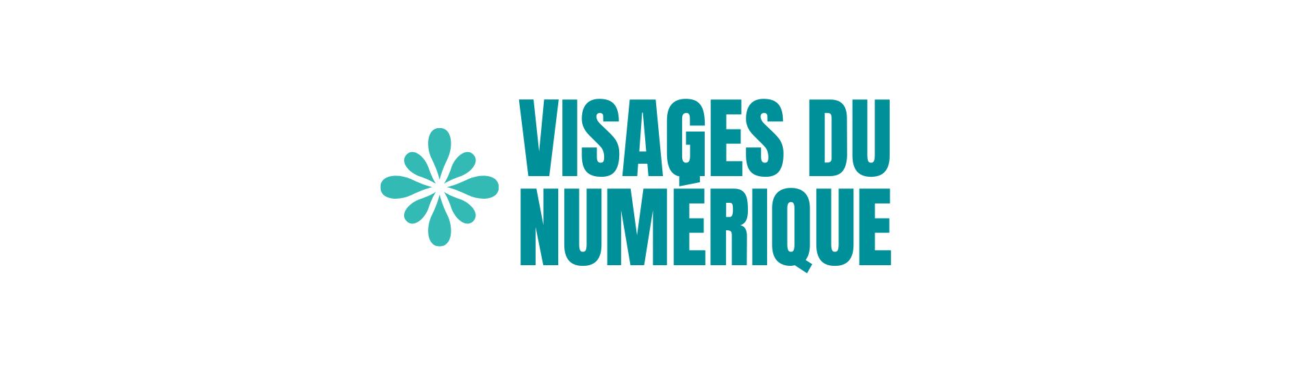 Bannière Visages du Numérique