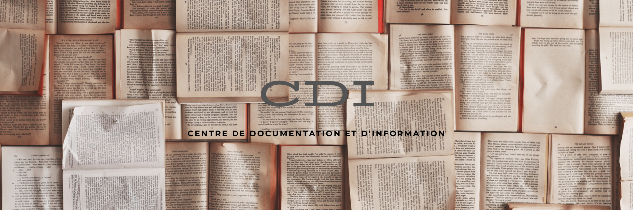 Bannière Du côté du CDI