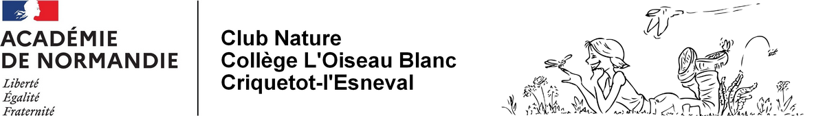 Bannière Normandie - Collège l'Oiseau Blanc - Criquetot l'Esneval