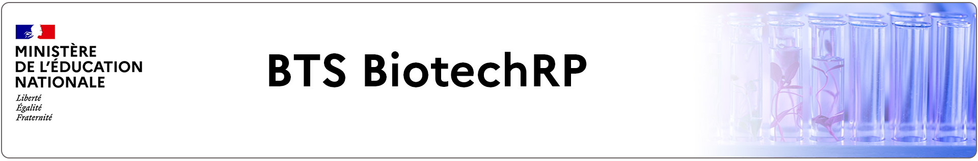 Bannière BTS biotechnologie en recherche et en production