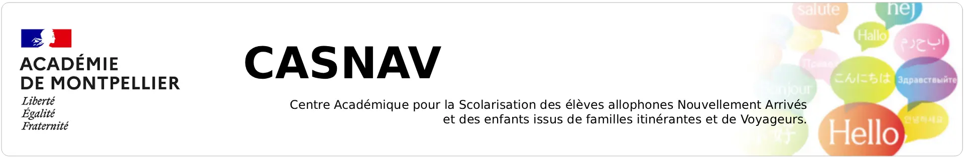 Bannière CASNAV et MASEFG de l'Académie de Montpellier